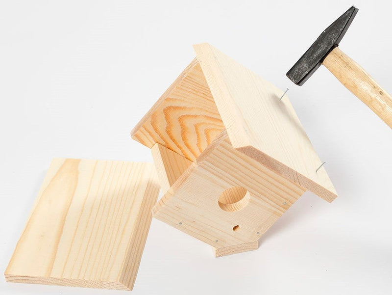Căsuță pentru păsări DIY - pas cu pas (dimensiuni + vopsele pentru exterior + FAQ)