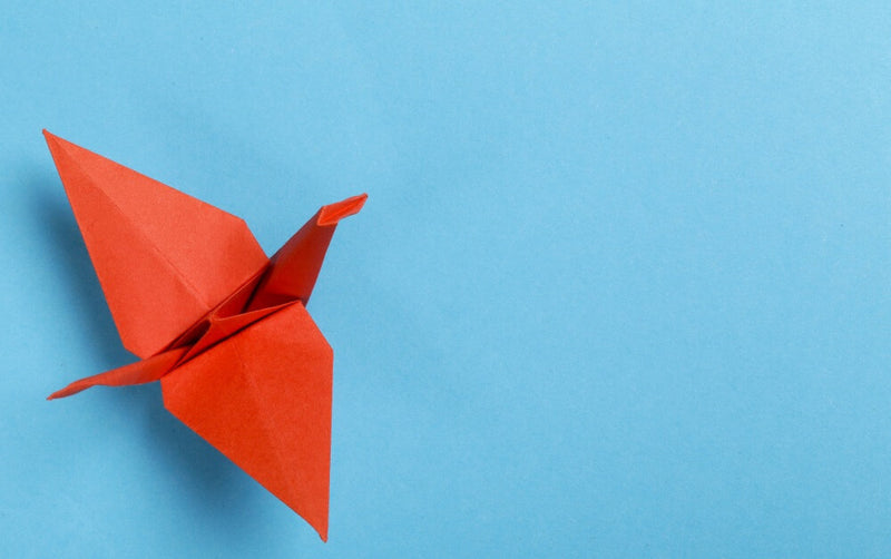 Origami din hârtie: Tot ce trebuie să știi