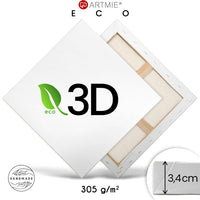 3d pictura pe panza pe cadru eko light ro vxlpe3d
