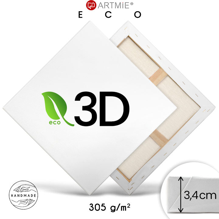 3d pictura pe panza pe cadru eko light ro vxlpe3d