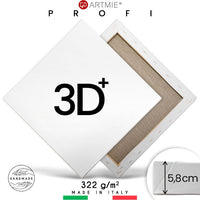Pânză 3D+pentru pictură pe șasiu PROFI
