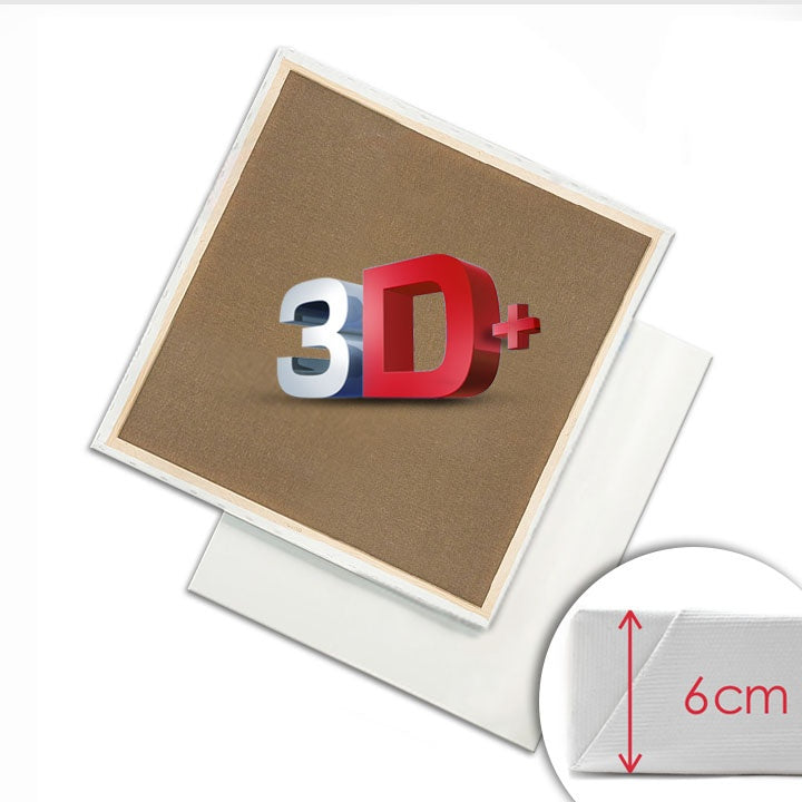 Pânză 3D+pentru pictură pe șasiu PROFI