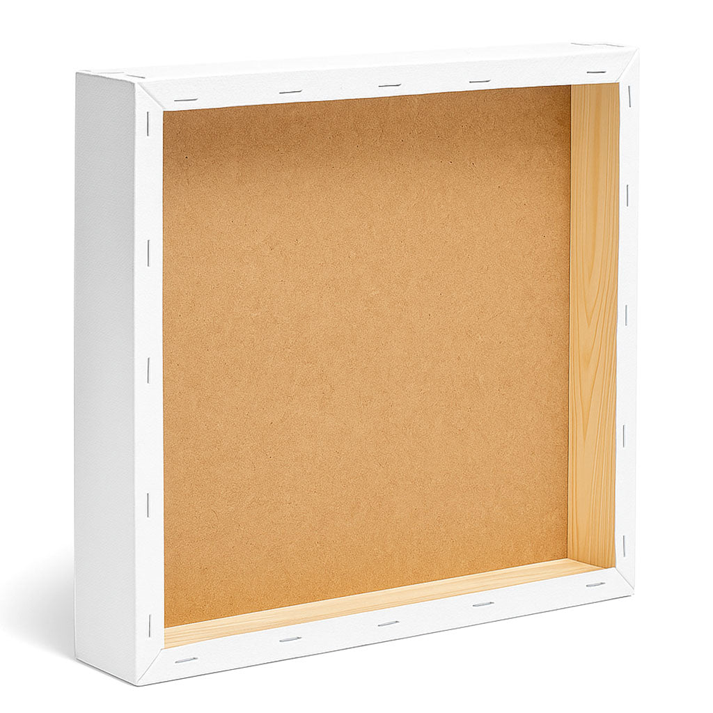 artmie 3d artist canvas pe carton ro pss3dcp
