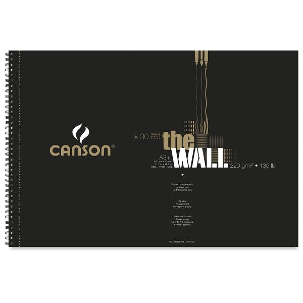 Bloc de schițe Canson The Wall 220 g 30 file A3+ legătură cu spirale