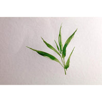 Bloc pentru acuarelă din bambus CLAIREFONTAINE CP 250 g/m² A1 - 15 file