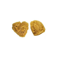 bureti de mare naturali mari de royal amp langnickel pachet de 2 ro rlgr2113