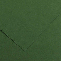 CANSON Iris Vivaldi hârtie colorată 50 x 65 cm, 240 g – Brad 31
