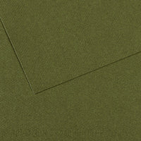 Canson Mi-Teintes hârtie pentru pastel 50 x 65 cm 160 g 25 coli – Iederă 448