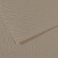 Canson Mi-Teintes hârtie pentru pastel 50 x 65 cm 160 g 25 coli – Stridie 340