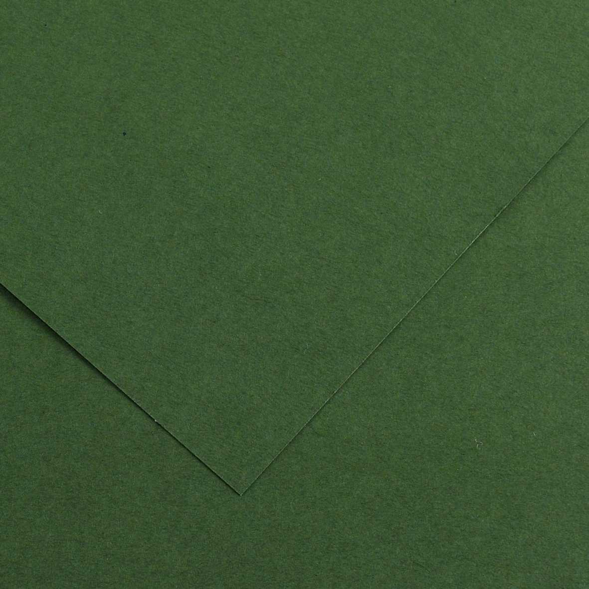 Hârtie colorată CANSON Vivaldi A3 185 g - 50F – Brad 31