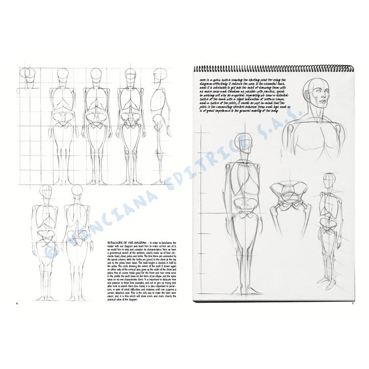 colectia leonardo 02 bazele desenului ro lnc888172001