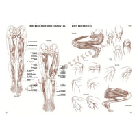 colectia leonardo 04 anatomie ro lnc888172003
