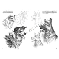 colectia leonardo 13 animale ro lnc888172012