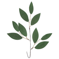 creanga de eucalipt decorativa 3d ro dpcdpza 070