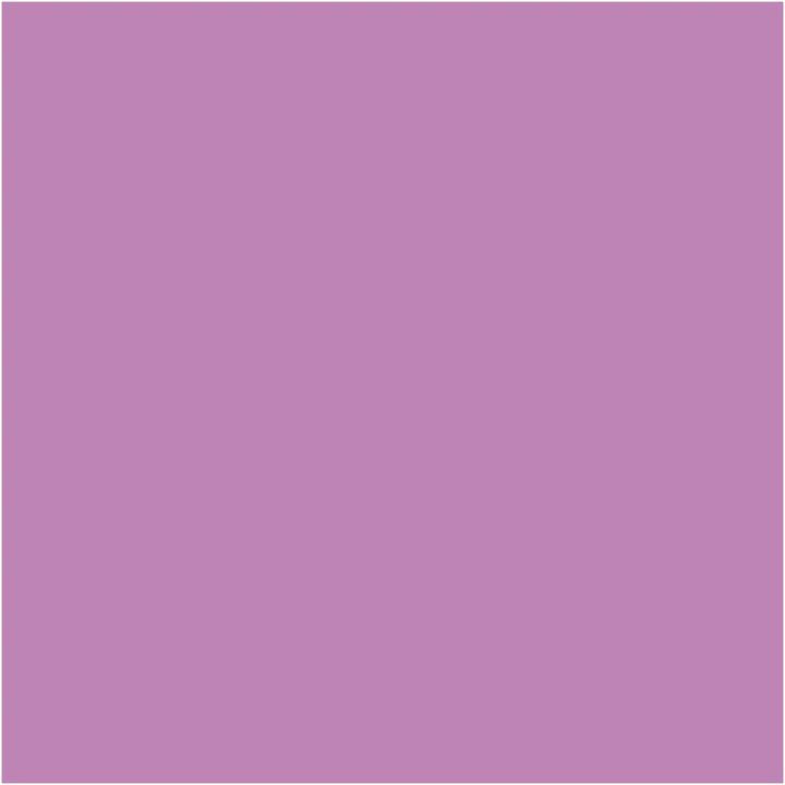 Vopsea decorativă Pentart Chalky – 25227 - mure