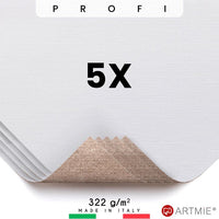 esantioane de panza de pictura artmie profi 5 buc ro artvzpp