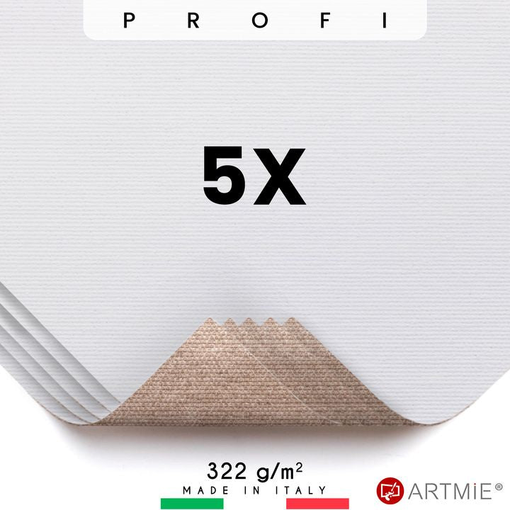 esantioane de panza de pictura artmie profi 5 buc ro artvzpp