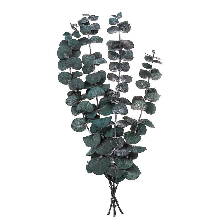 eucalipt stabilizat baby blue 4 tulpini verde 20 cm ro dpcdpsk 012