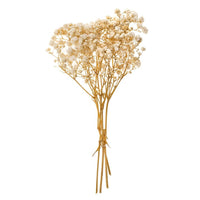 gypsophila naturala 4 tulpini 20 cm ro dpcdpsk 009