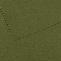 Hârtie colorată în masă CANSON Mi-Teintes 50 x 65 cm – 160 g/m² – Iederă 448