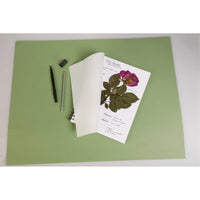Herbar Clairefontaine 180 g/m² 21 x 21 cm - 32 file