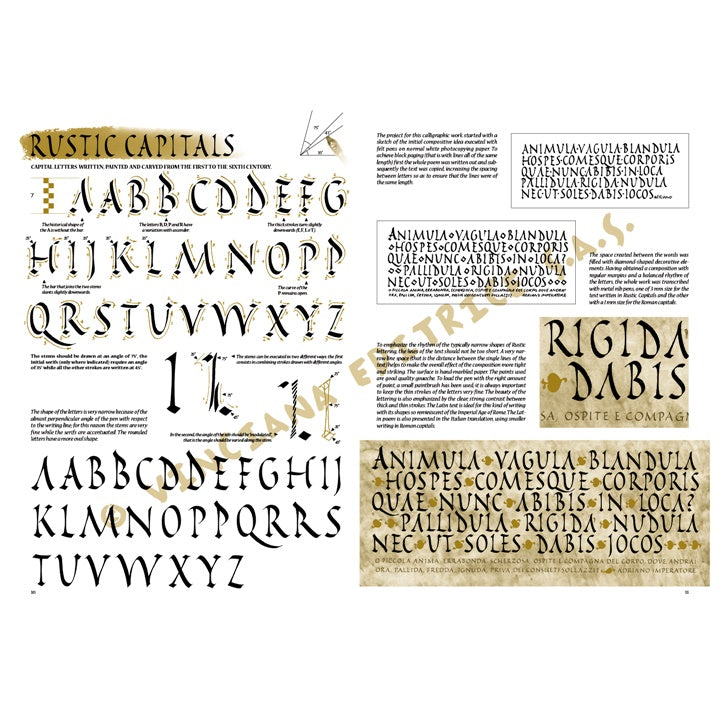 leonardo collection 37 ghid de caligrafie ro lnc888172036