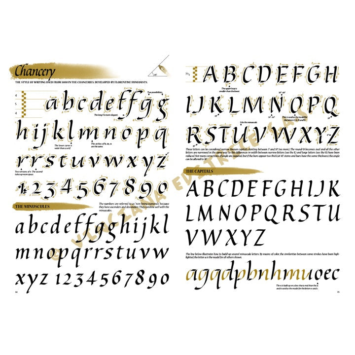 leonardo collection 37 ghid de caligrafie ro lnc888172036