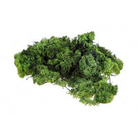 Mușchi islandez 500 g