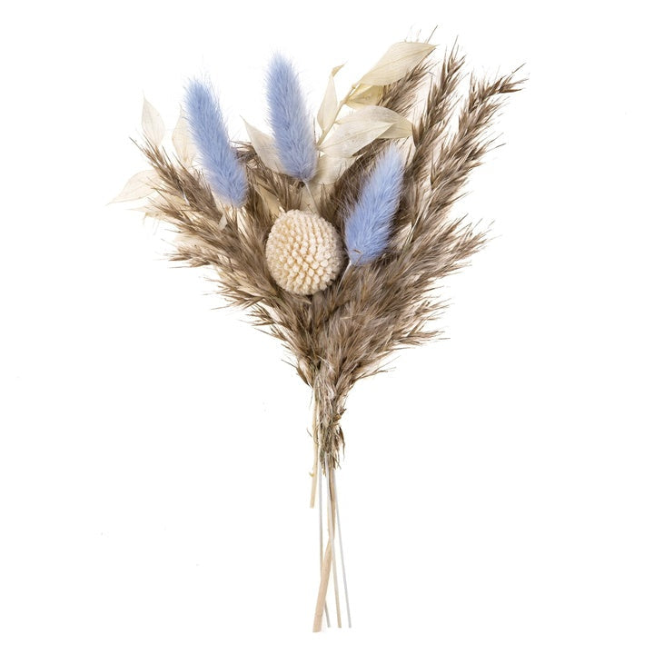 mini buchet uscat savannah blue ro dpcdpsk 003