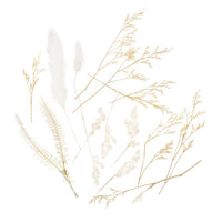 mini buchet uscat vanilla dream ro dpcdpsk 001