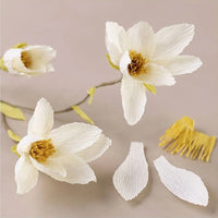 mini set creativ crep de hartie magnolia twig ro cch977472