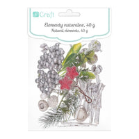 mix de elemente naturale și artificiale pentru aranjamente 40 g