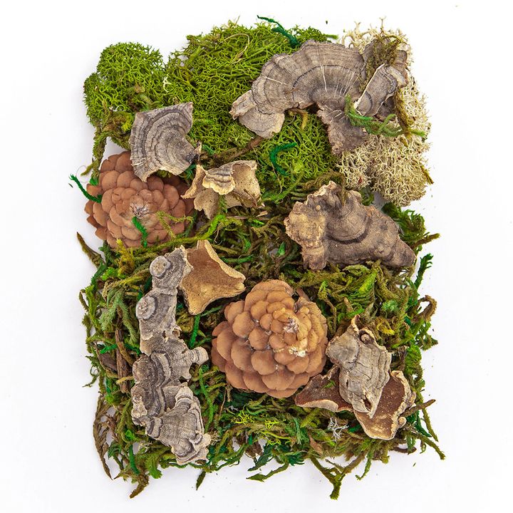 mix de mușchi și elemente naturale 30 g