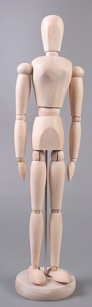 model de lemn a corpului uman feminin 40 cm ro hbbbel16206
