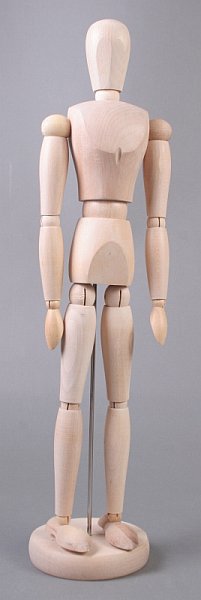model de lemn a corpului uman masculin 40 cm ro hbbbel16205