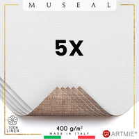 mostre de panza de pictura artmie museal 5 buc ro artvzpl