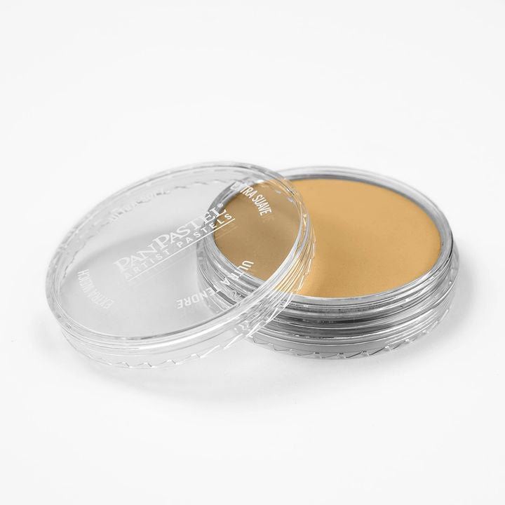 panpastel pastel metalic uscat 9 ml ro gdnppme9