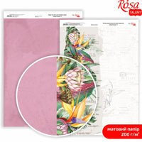 Hârtie pentru scrapbooking King Protea A4 – No. 4