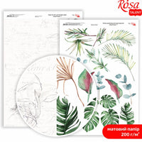 Hârtie pentru scrapbooking King Protea A4 – No. 7