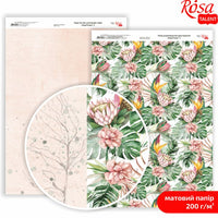 Hârtie pentru scrapbooking King Protea A4 – No. 3