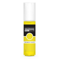 pasta de pigment pentru decoratiuni de perete 20 ml ro pntwdpp