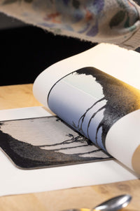 Pebeo mediu de deschidere pentru linogravură 80 ml