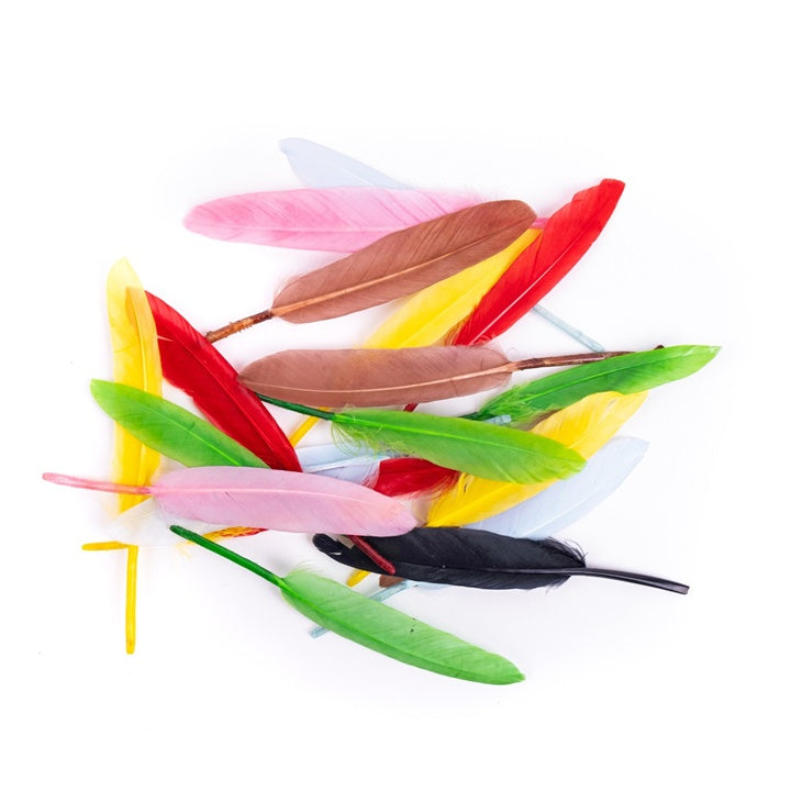 pene de gasca multicolore 13 cm ro dpccepi 114