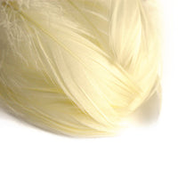 pene decorative 190 buc ro mxhpierka