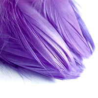 pene decorative 190 buc ro mxhpierka