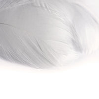 pene decorative 190 buc ro mxhpierka
