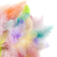 pene decorative 5 12 cm 5g pastel ro dpccepi 103