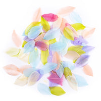 pene decorative 6 cm 5g pastel ro dpccepi 113