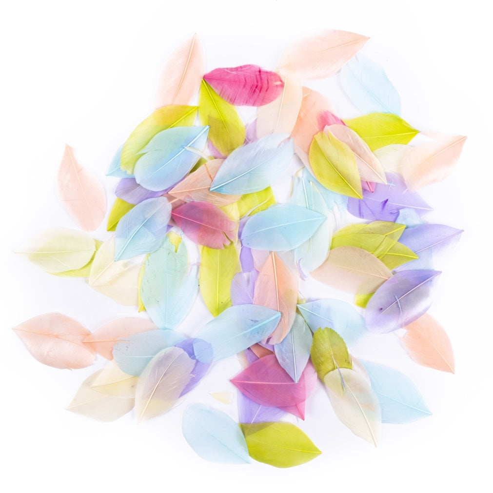 pene decorative 6 cm 5g pastel ro dpccepi 113