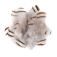 pene decorative de fazan deschise 15 buc ro dpccepi 106